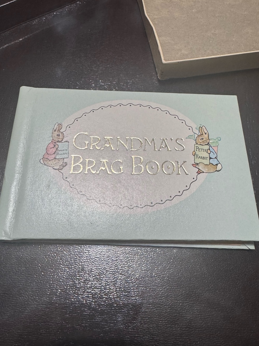 Grandma's Brag Book - Pastel Blue Peter Rabbit Cover